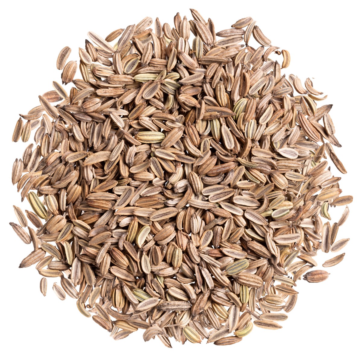 Koper suszony ziarno